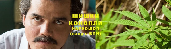 метадон Няндома