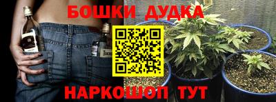 ПСИЛОЦИБИНОВЫЕ ГРИБЫ Заводоуковск
