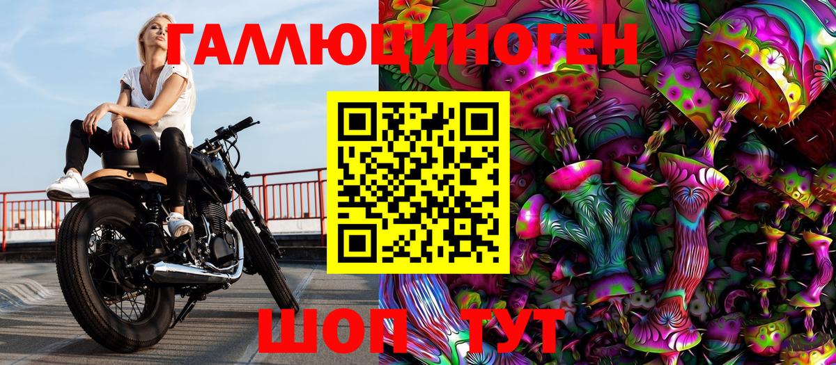 Псилоцибиновые грибы Psilocybe  Татарск  Галлюциногенные грибы Cubensis 