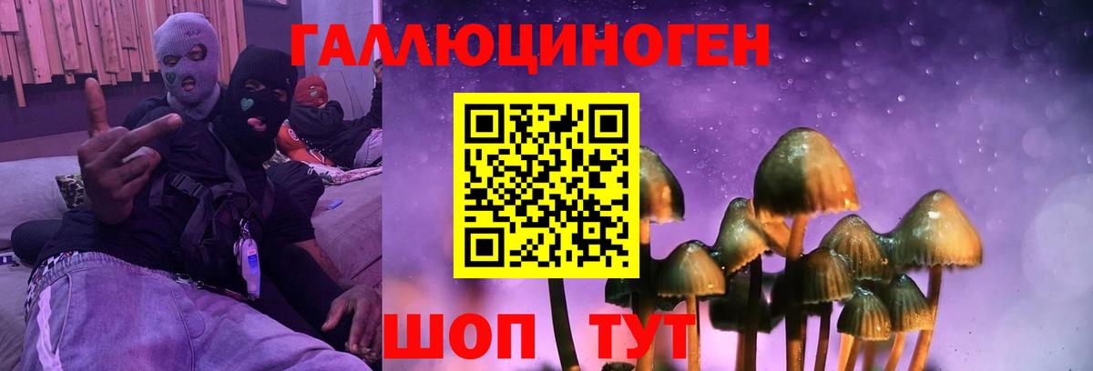 Галлюциногенные грибы Psilocybe Татарск