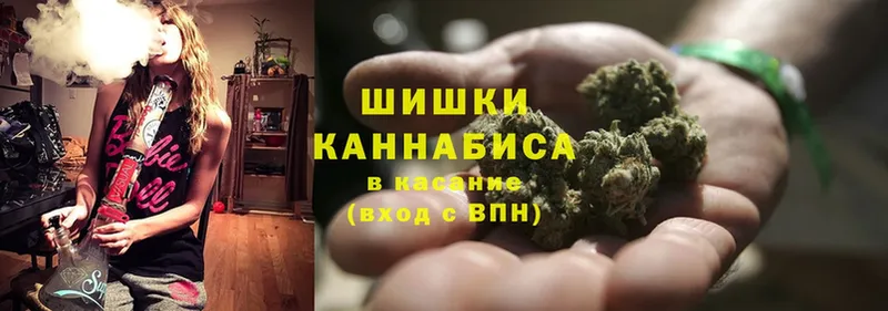 сколько стоит  Татарск  Бошки марихуана Ganja 